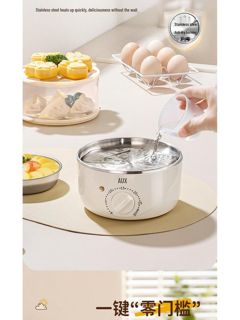Compact Stainless Steel Automatic Egg Boiler with Auto-Off