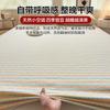 Thickened Cotton Bed Skirt Single Piece Dorm Student Mattress Protector All Season Use