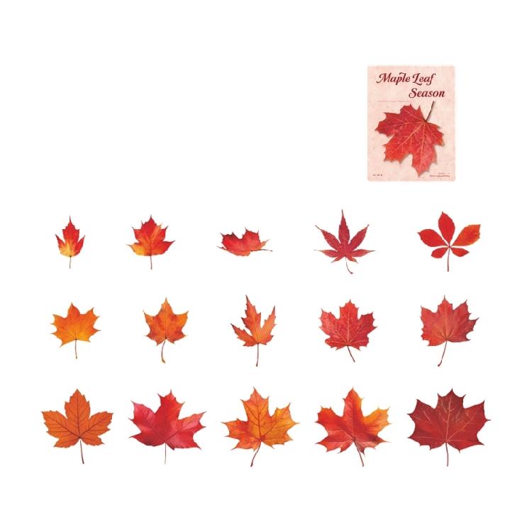 Leaf Inspired Sticker Waterproof Adhesive PET Sticker for Journal Notebook Phone Scrapbooking Decoration Supplies