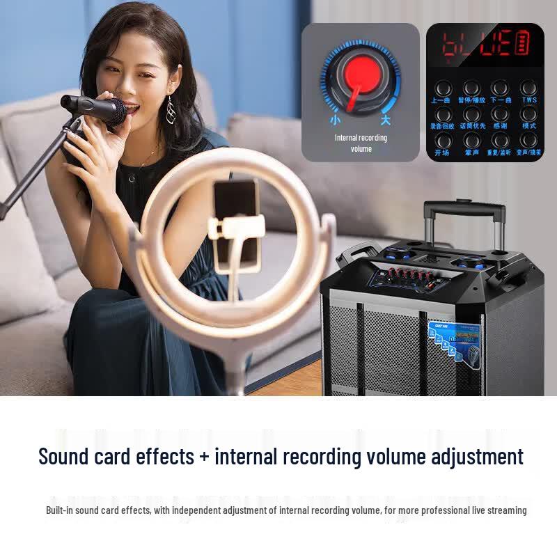 SAST SA-165 15-inch High-Power Portable Bluetooth Trolley Speaker (CN Version)
