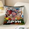 1pc Pillowcase, Anime Theme Design Pattern Printed Square Cushion Cover, Soft Smooth Touch Polyester Short Plush Fabric, Single-Sided Printed Pattern,