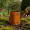 Unique Distressed Iron Watering Can Styles Container Flower Pot Ideal For Herbs Plant And Decorative Use Indoor Outdoor Use