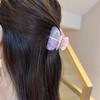 Korean Color Block Acetate Hair Claw Clip for Women - Super Fairy Style Accessories