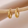 Vintage Gold Plated Twisted Hoop Earrings For Women Stainless Steel Round Earrings Hypoallergenic Jewelry Party Gift