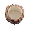 Cosmetic Holder Wooden Bark Pen Holder Multifunctional Stationery Box  Home Office