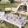 ZISIZ Outdoor Camping Picnic Mat & Blanket