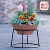 Iris Ohyama Planter Stand Ball Planter Stand Extra Thick 30 Black