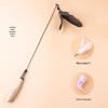 Cat Teaser Wand with Refill Heads