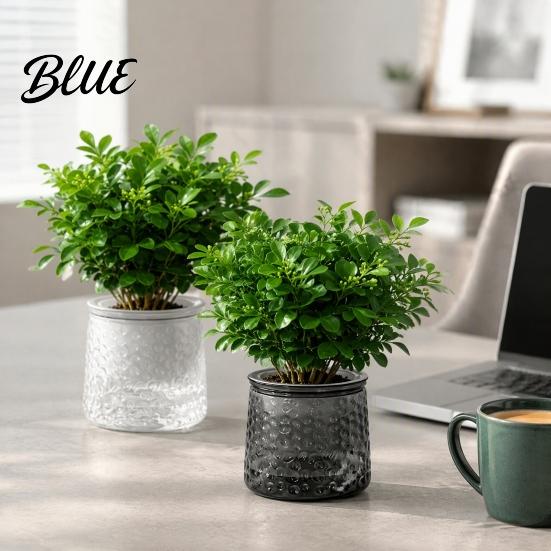 Clear Plastic Planters Self‑Watering Planter Pot Thick Transparent Flower Embossed Pothos Anthurium Growing Pots Decorative Indoor for Hydroponic
