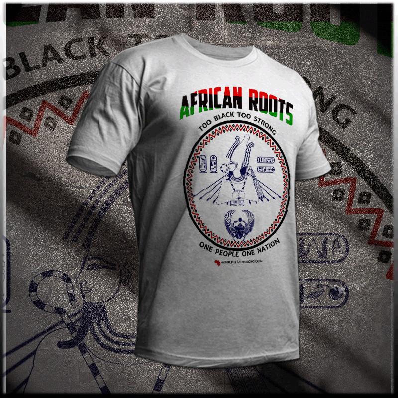 

Black History T-Shirt Kemetic Roots Panafrican melanin Roots African Pride tee 2XL