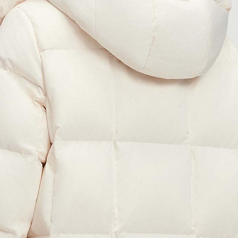 BOSIDENG B250244196 Goose Down Lightweight Business Jacket