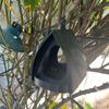 Hausförmiger Vogelhäuschen-Futterspender aus Kunststoff Zum Aufhängen für den Außenbereich Große Kapazität Leicht zu reinigen Für Rasen Garten Vogel Fütterung