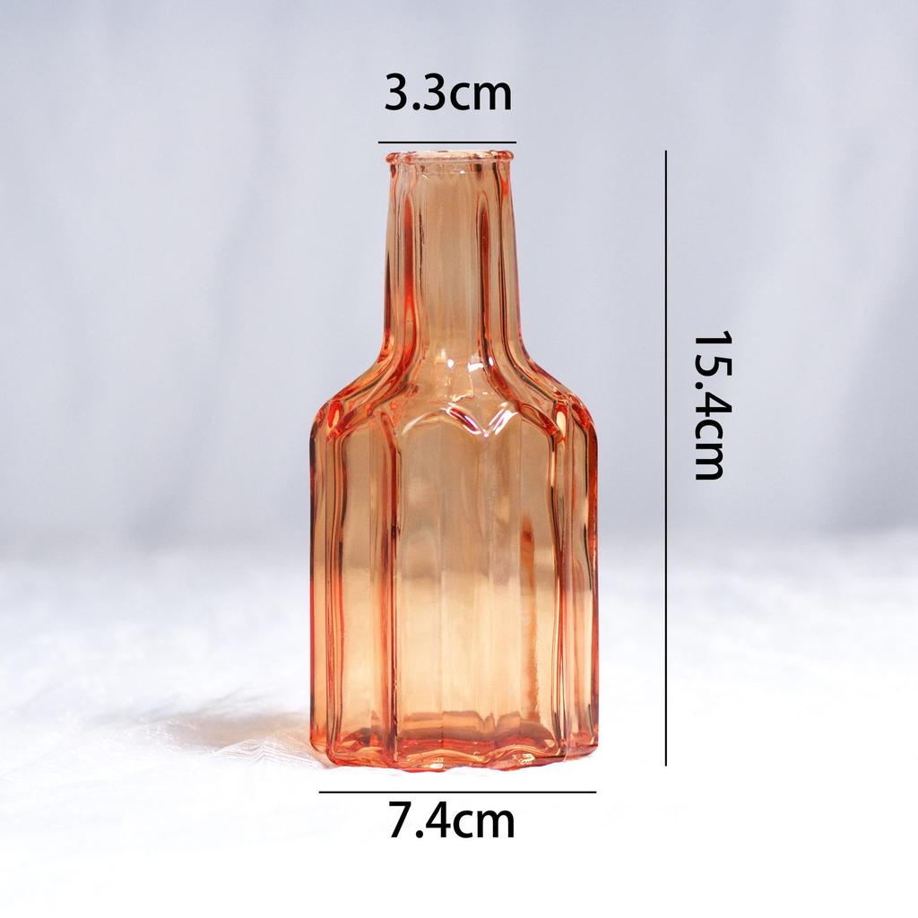 Nordic Retro Glass Vase - Mini Decorative Hydroponic Bottle for Living Room Decor