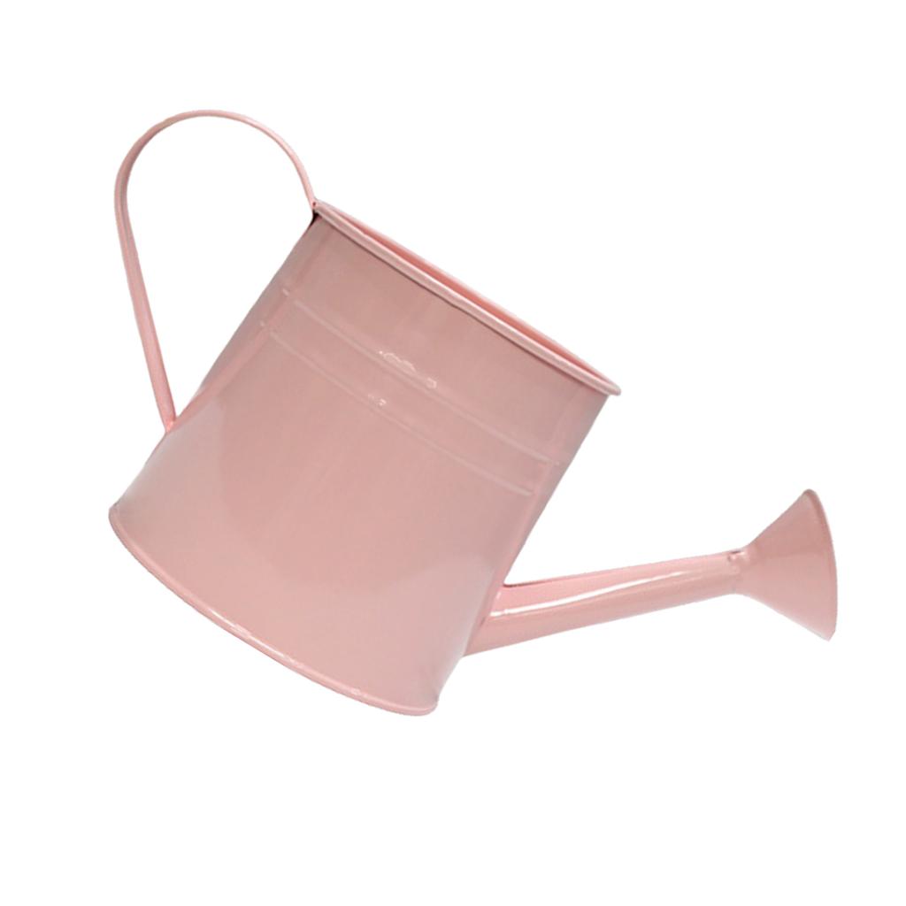 Gießkanne aus Eisen im Vintage-Stil, charmanter, rustikaler Metallbehälter, perfekt als Blumentopf oder Bürodekoration.