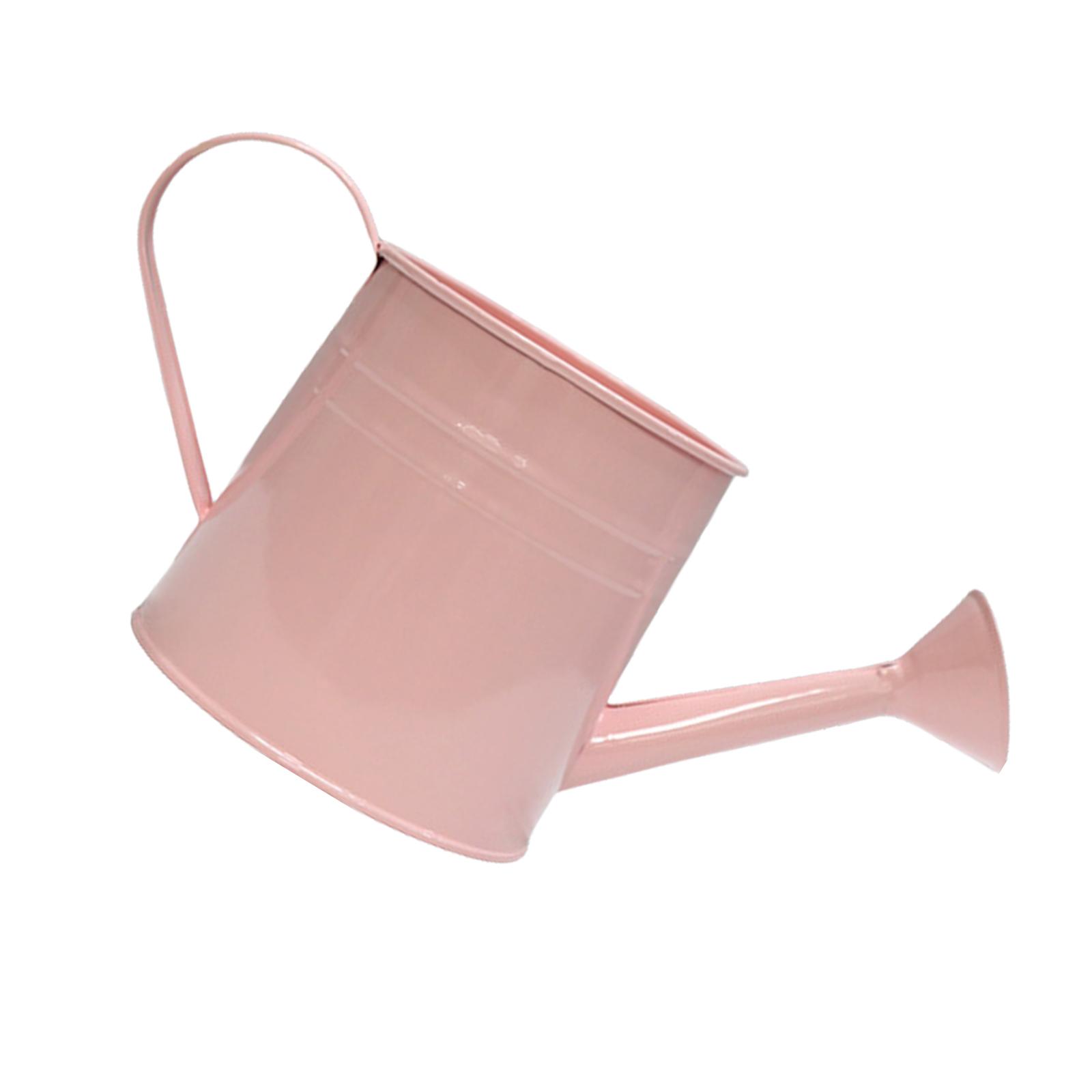 

Французский Кантри Стиль Железные Кашпо Функциональный Железный Горшок для Орхидей Винтажный Вид Лейка для Сада для Любителей Растений розовый