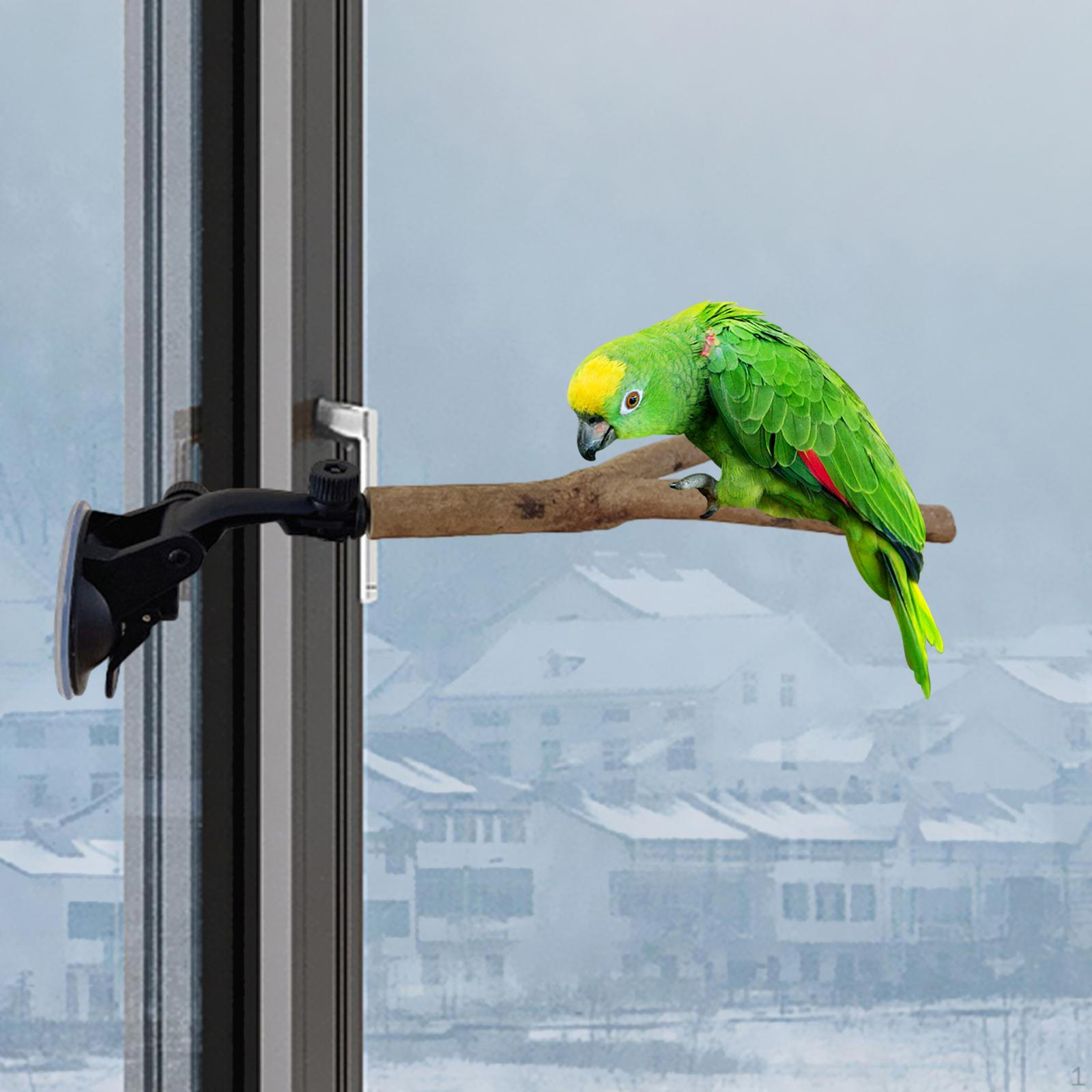 

Подставка для птичьего окуня для попугаев и ара — прочный инструмент для дрессировки Style B