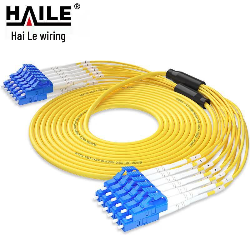 HAILE Enkele Modus 12-aderige LC-LC Glasvezel Patchkabel