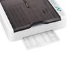 Incubator, Hatcher, For 36 Chicken Eggs, 60 W, Ovoscope