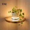 Space Saving Floating Plant Stand Wall Shelf with LED Light, Modern Gold Metal Display Rack Luxury Organizer for Plants Book, Mounted Decor