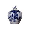 Blue & White Porcelain Vase: High-End Ceramic Apple Jar for Living Room or Entryway Decor.