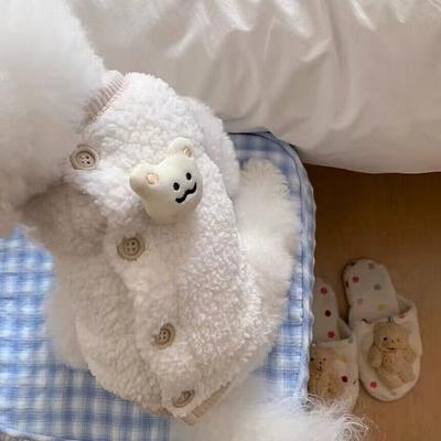 Haustier Herbst Winter Lammfleece Weste Hunde Weste Teddybären Katze Hund Kleidung Verdickt Warm Haustier Kleidung Hund Kleidung für Kleine Hunde
