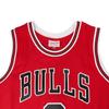 NBA Mitchell & Ness Bulls Dwyane Wade Jersey