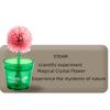 Colored Crystals Crystal Trees Growing Kit Flower Shaped Crystal Making Kit  Girls