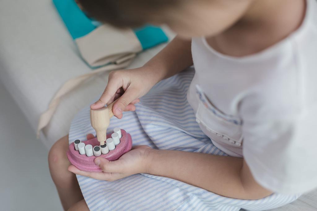 PLANTOYS JAPAN Dentist Set 3493