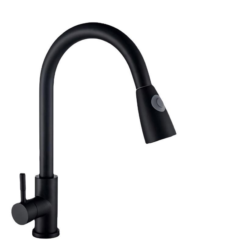 TLXT Rotatable Pull-Out Kitchen Faucet