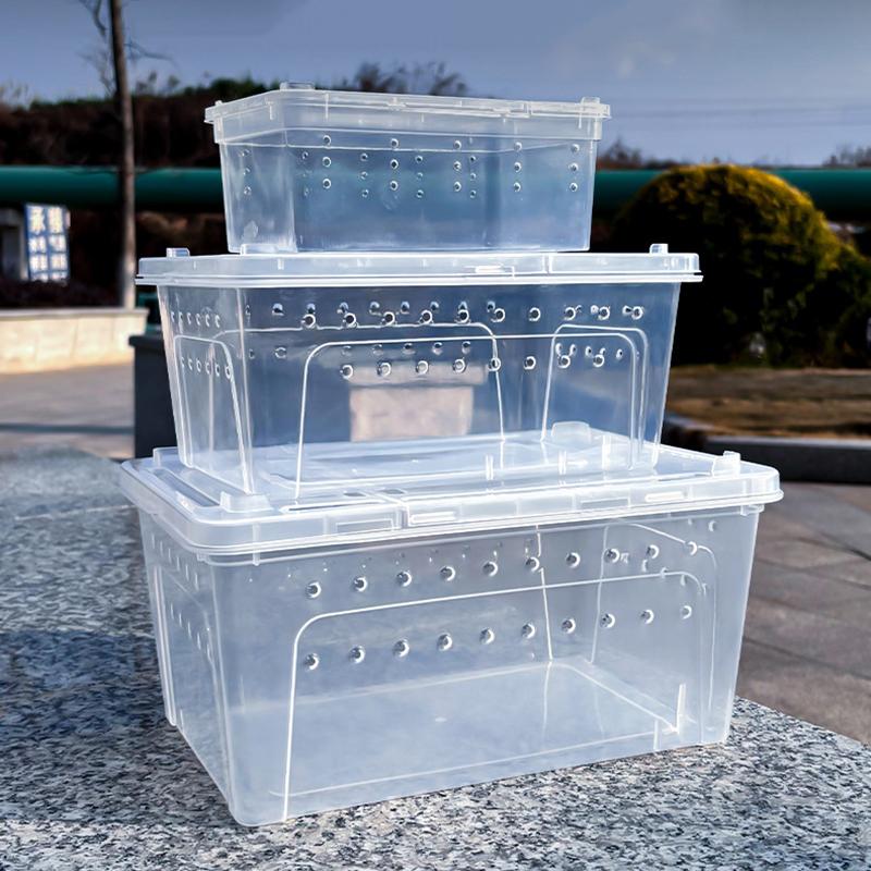 Reptile Breeding Box Secure Portable Terrarium with Clear View Escape Proof Lid for Transport and Pet Display