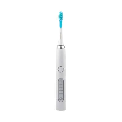 WT-501 Electric Toothbrush CN Plug (adapter Included)