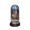 Eternal Flower Glass Cover Luminous Gold Foil Rose Christmas Valentine's Day Gift Creative Night Light Ornament