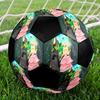 Wicked Theme Size 5 Soccer Ball, Suitable for Both Indoor and Outdoor Matches, a Gift Suitable for Everyone.