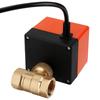 Motorized Electric 2-Way Brass Ball Valve Dn20 Ac 220V 3 Wire Actuator Cable
