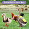 Feather Protection Hen Reflective Vest Breathable Chicken Saddle Accessories Chicken Vest