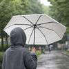 Portable Cartoon Cat Umbrella Waterproof Automatic Umbrella Frosted Umbrella  Rainy Day