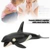 Killer Whale Shape Simulation Animal Model Marine Life Children Static Solid Toys