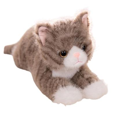 S.T.S.G Plush Cat, Large Body Pillow, Cute, Realistic, Fluffy, Gift, Christmas (Tabby (Large))