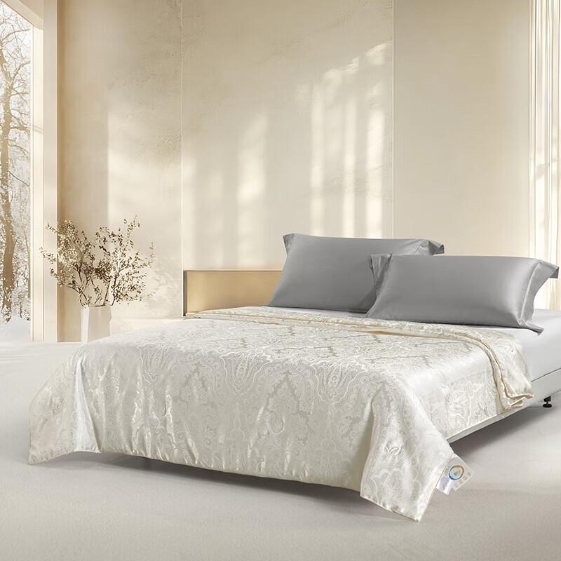Mercury Home Textiles Moonlight Brocade Mulberry Silk Quilt