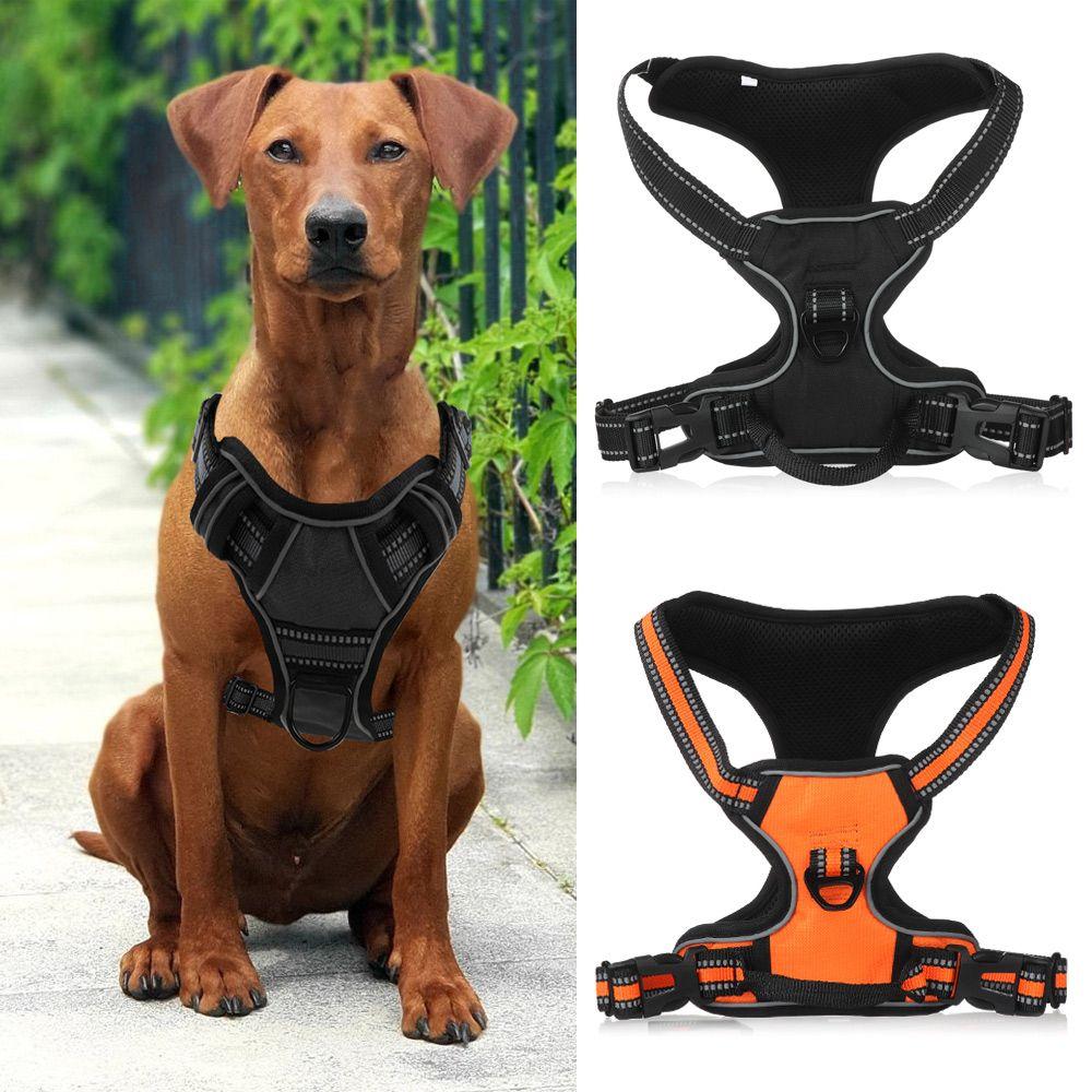 dog pull philippines