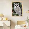 Yousheng Owl Diamond Art Kit for Adults Beginners DIY Pearl Painting Rhinestone Craft Project with Resin Diamonds Home Decor Gift for Family And