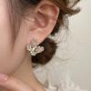 Gradual Change of Color, Fresh Crystal Butterfly Earrings Women's New Popular Sweet Niche Design Premium Earrings Earrings
