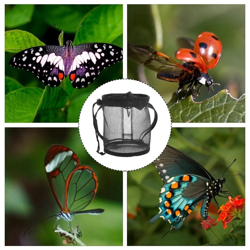 Bug Enclosure Insect Terrarium Exploration Butterfly Catching Cage Nature Exploration