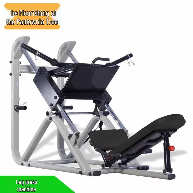 Zizhisheng Premium Fitness Equipment