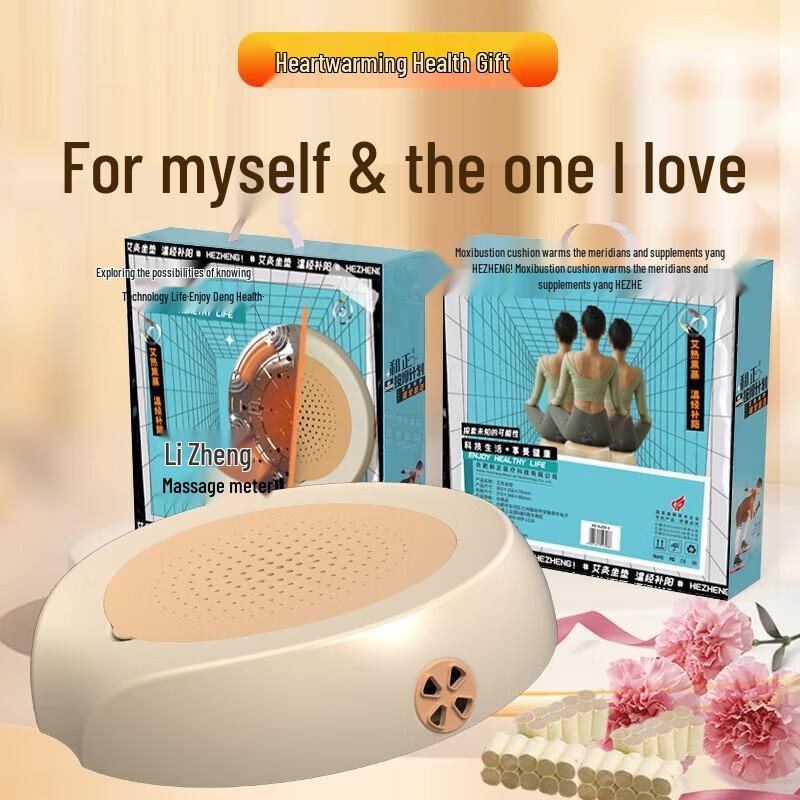 USB Portable Ai Rong Heated Moxibustion Cushion