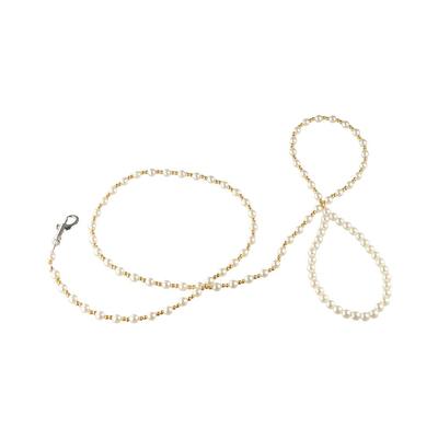 Köpek – Köpek Tasmaları ve Tasma Kayışları