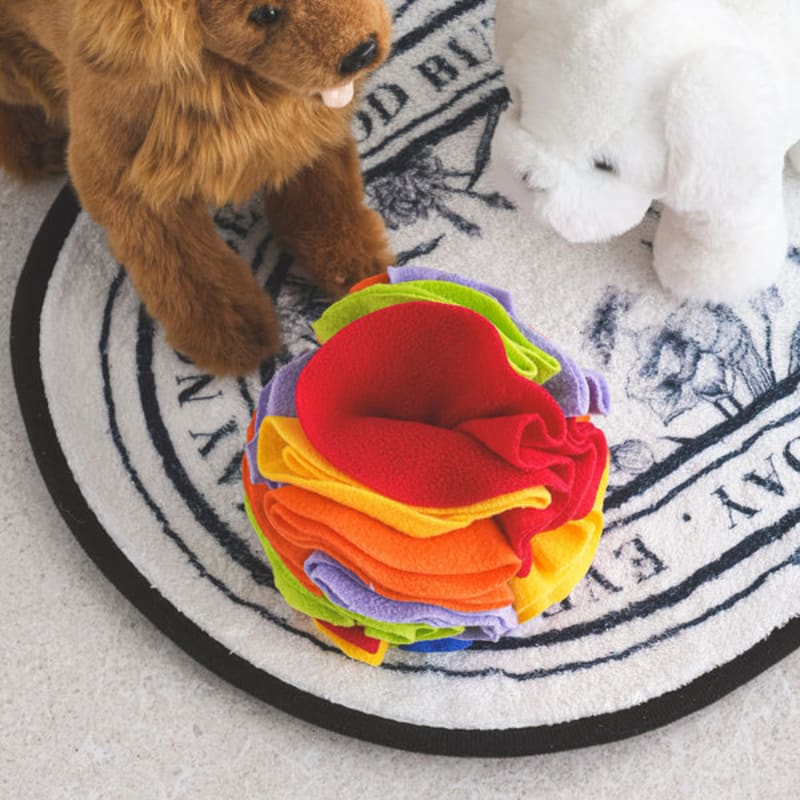 [Pet] Snack Search Nose Work Ball