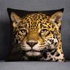 African Animal Beasts Home Decoration Pillowcase Square Pillowcase Home Office Decoration Cus On Cover