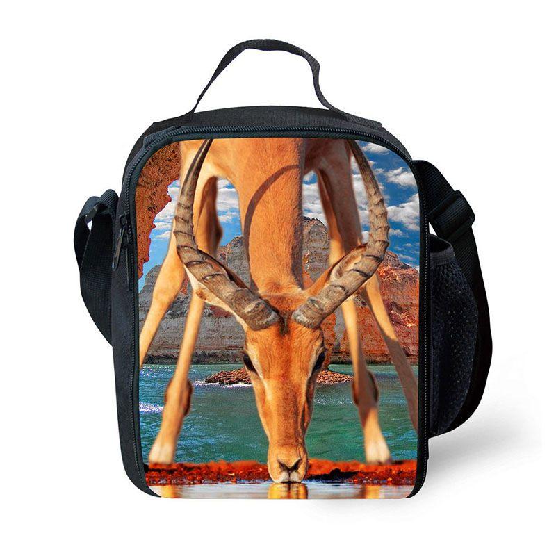 Animal School Lunch Bags Kids Boy's Food Carriers With Soft Handle For Travel