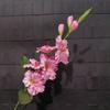 2pcs 75cm Fake Gladiola Real Touch Silk Flower Vivid Artificial Gladiolus Flower  Wedding Accessory